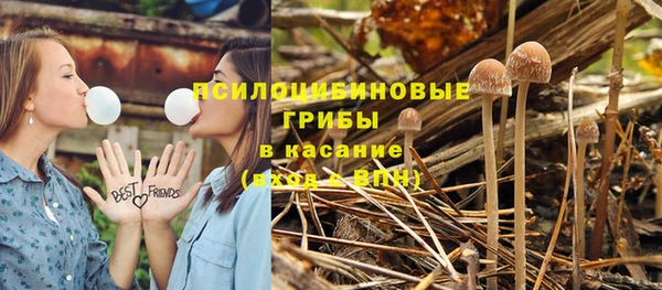 бошки Алексин