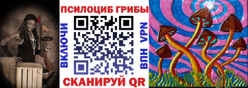 Галлюциногенные грибы Psilocybine cubensis  кракен рабочий сайт  Кириши 